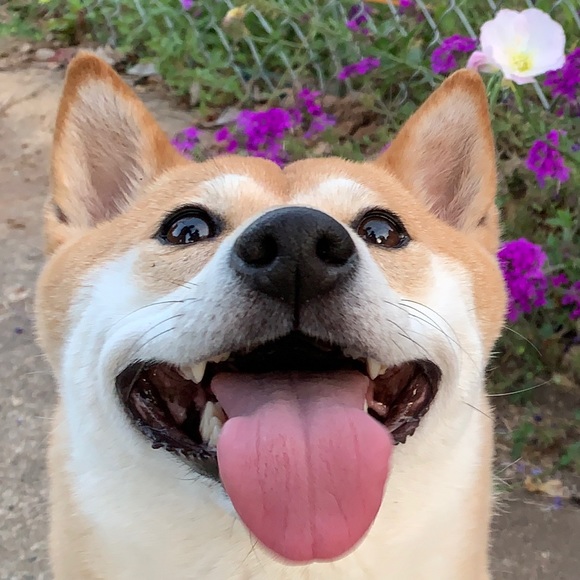 chochoro